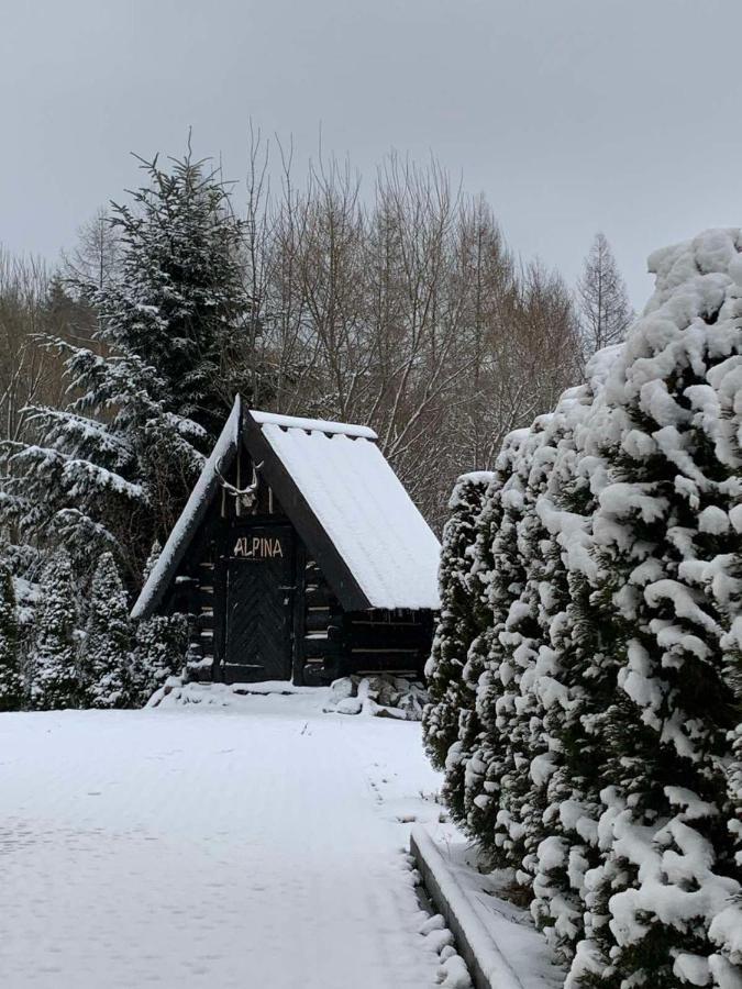 Hotel Alpina Krynica-Zdrój Exterior foto
